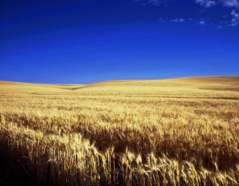 Kansas'ta yapılacak unutulmaz şeyler